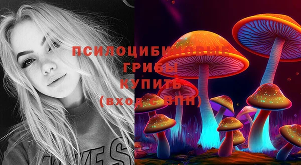 соль курить ск Алексеевка