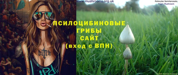 спайс Алексин